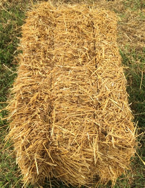 Straw or Hay Bales .